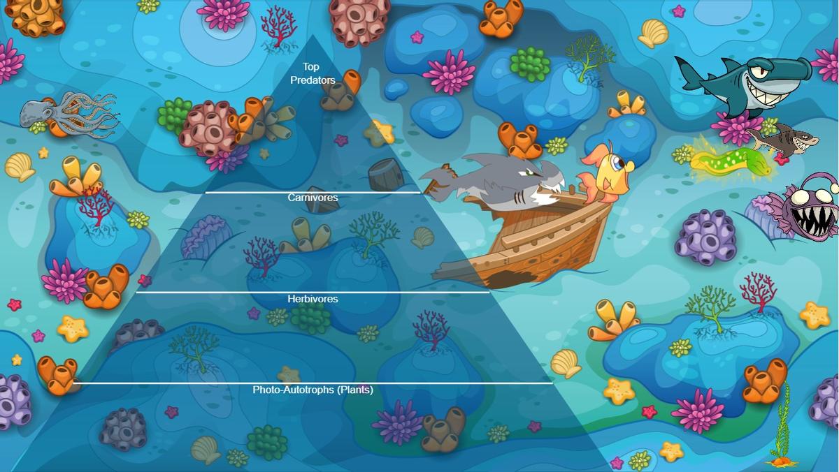 Ocean Ecological Pyramid