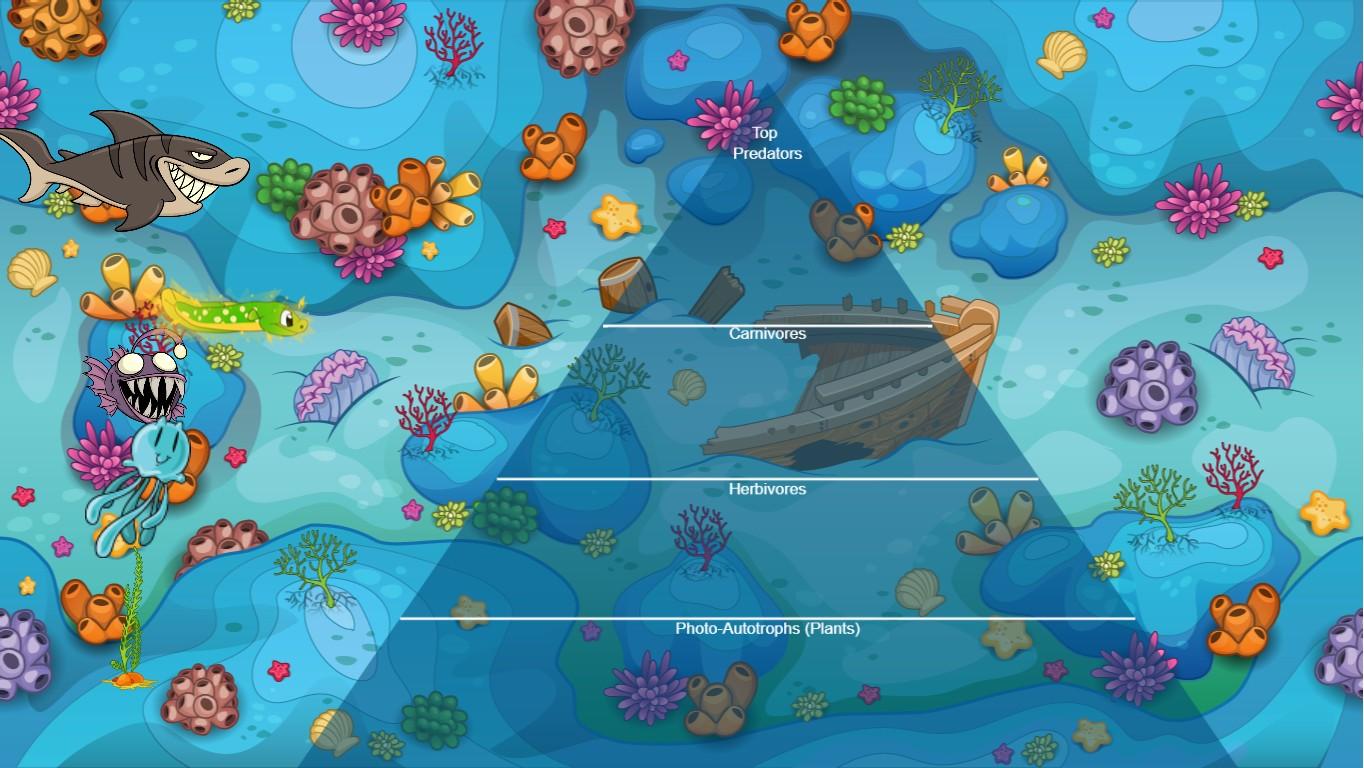 Ocean Ecological Pyramid