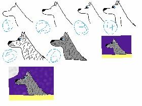 How To Draw A Wolf