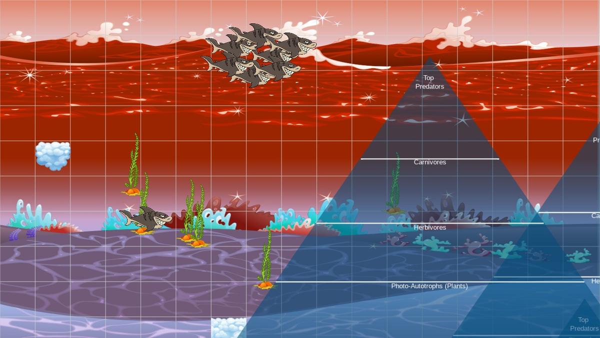 Ocean Ecological Pyramid