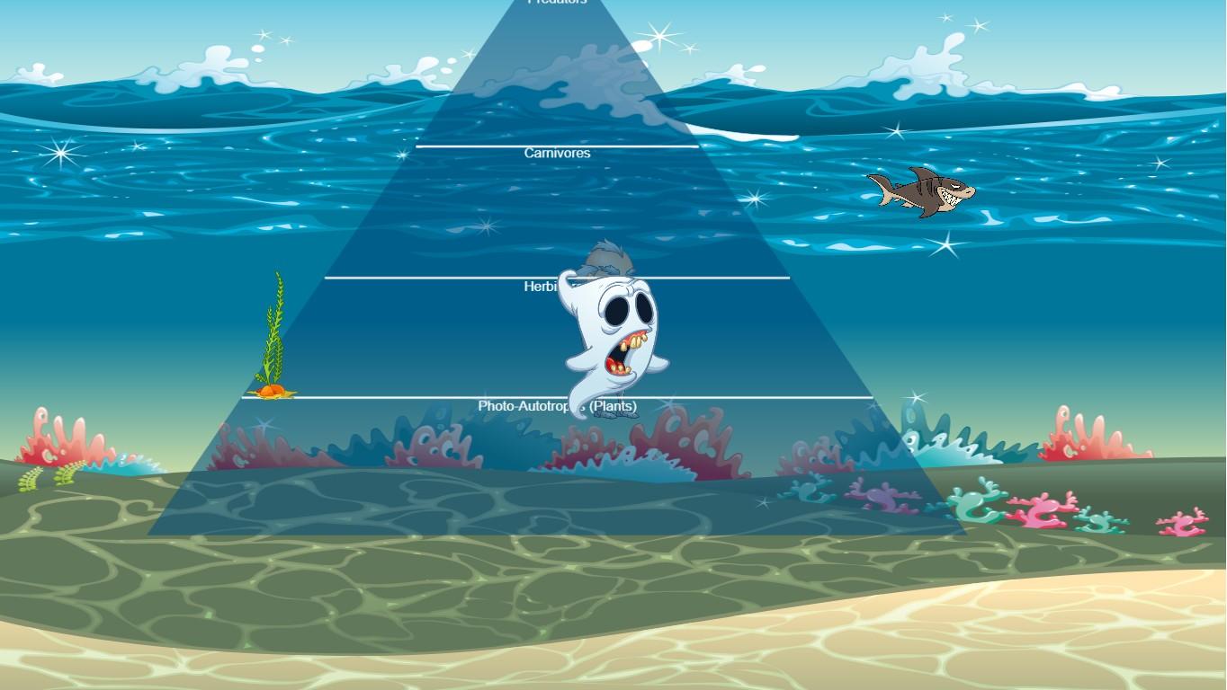 Ocean Ecological Pyramid