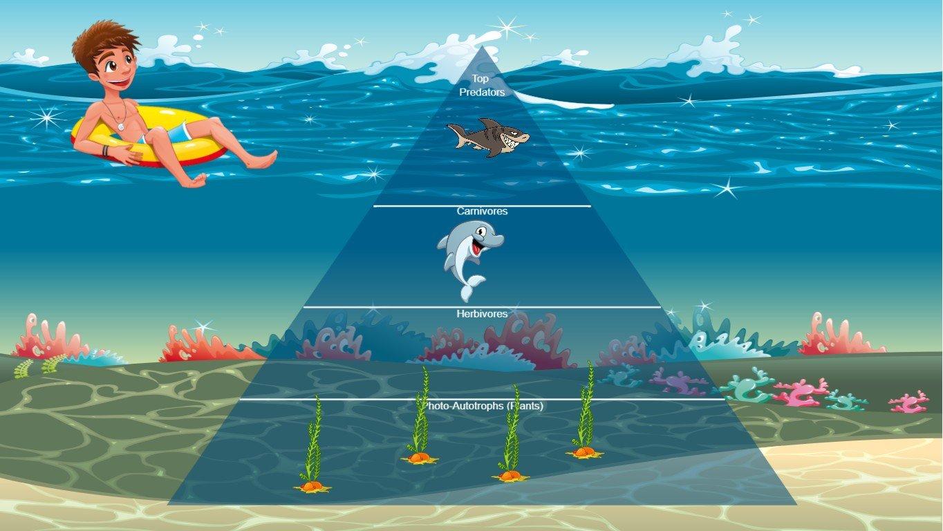 Ocean Ecological Pyramid