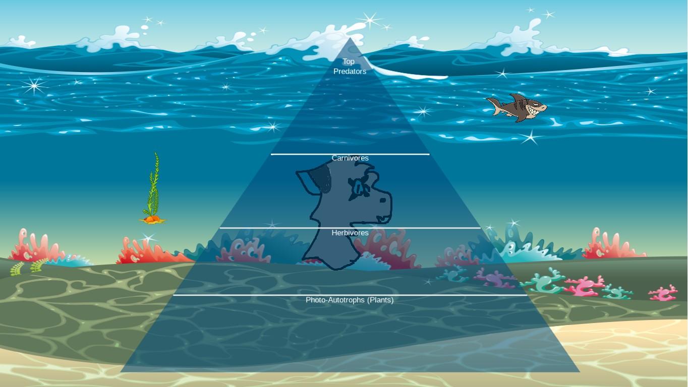 Ocean Ecological Pyramid