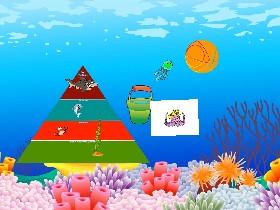 Ecological Pyramid 1