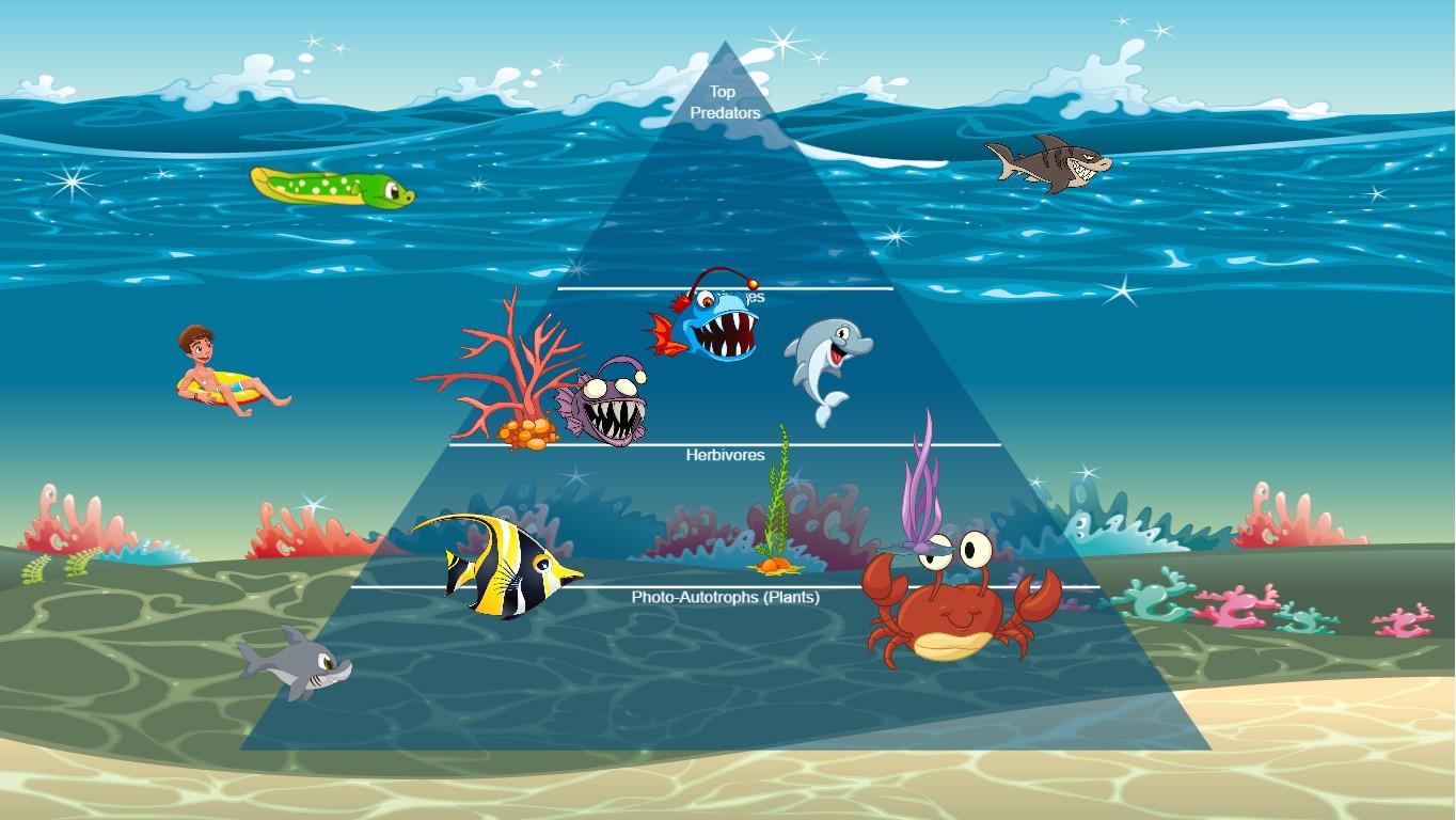 Ocean Ecological Pyramid