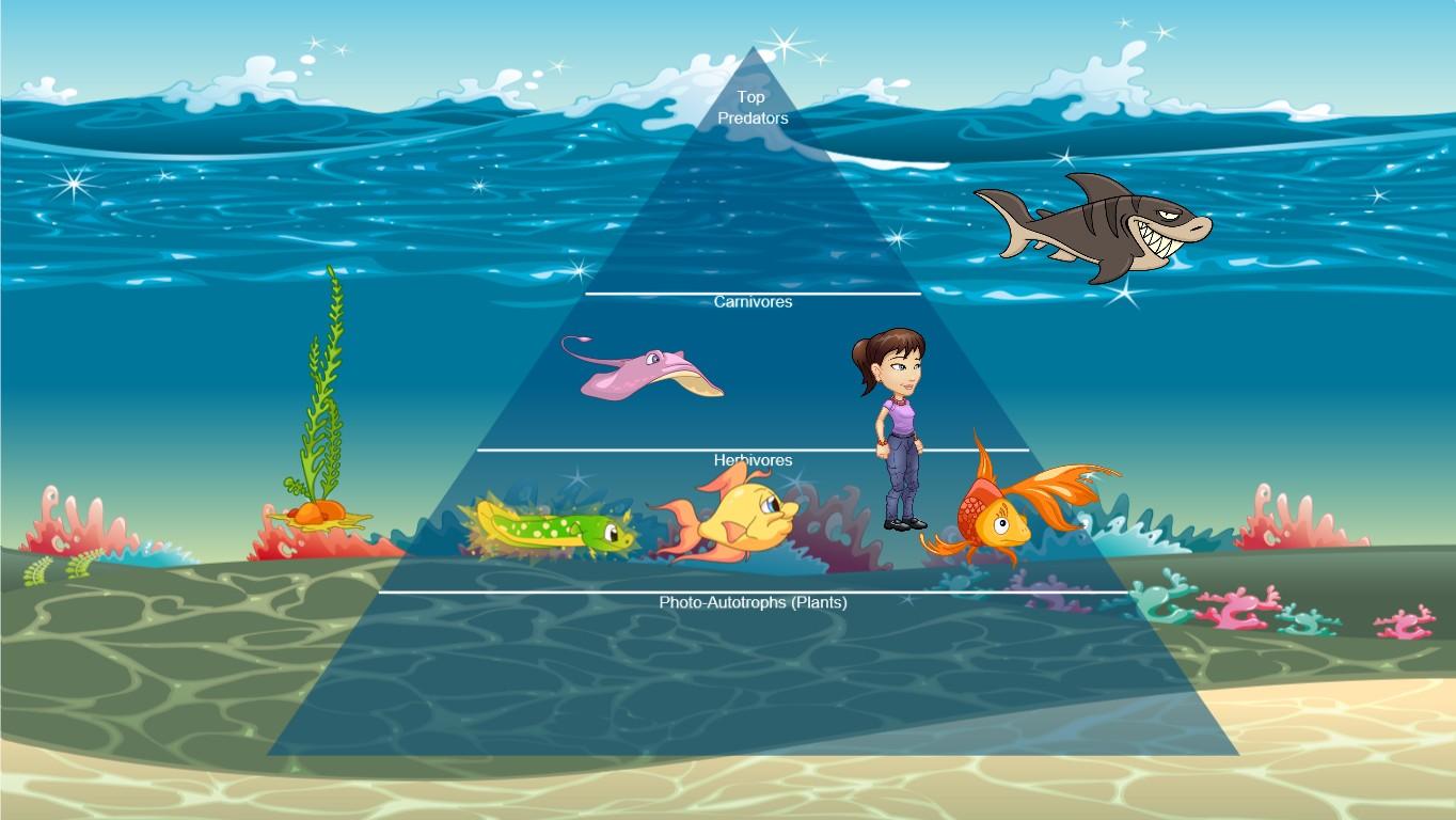 Ocean Ecological Pyramid