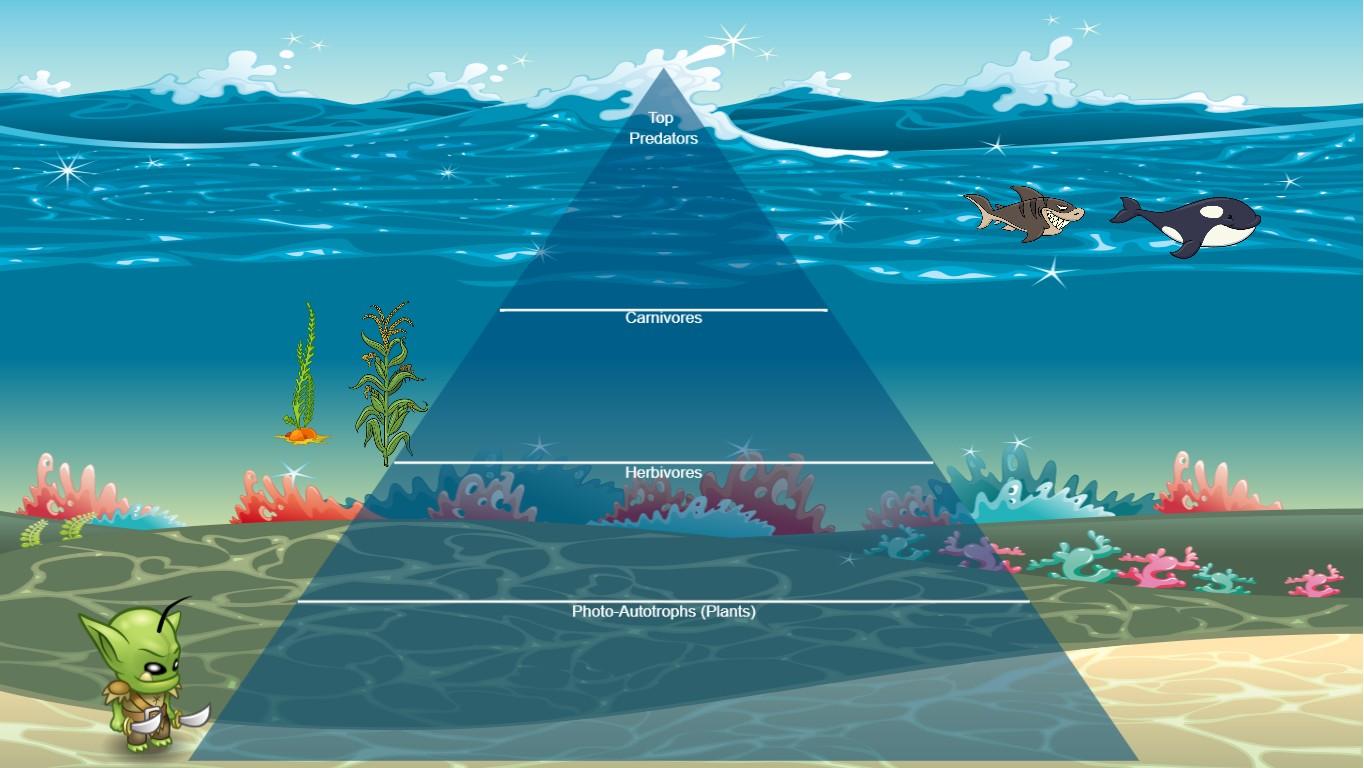 Ocean Ecological Pyramid