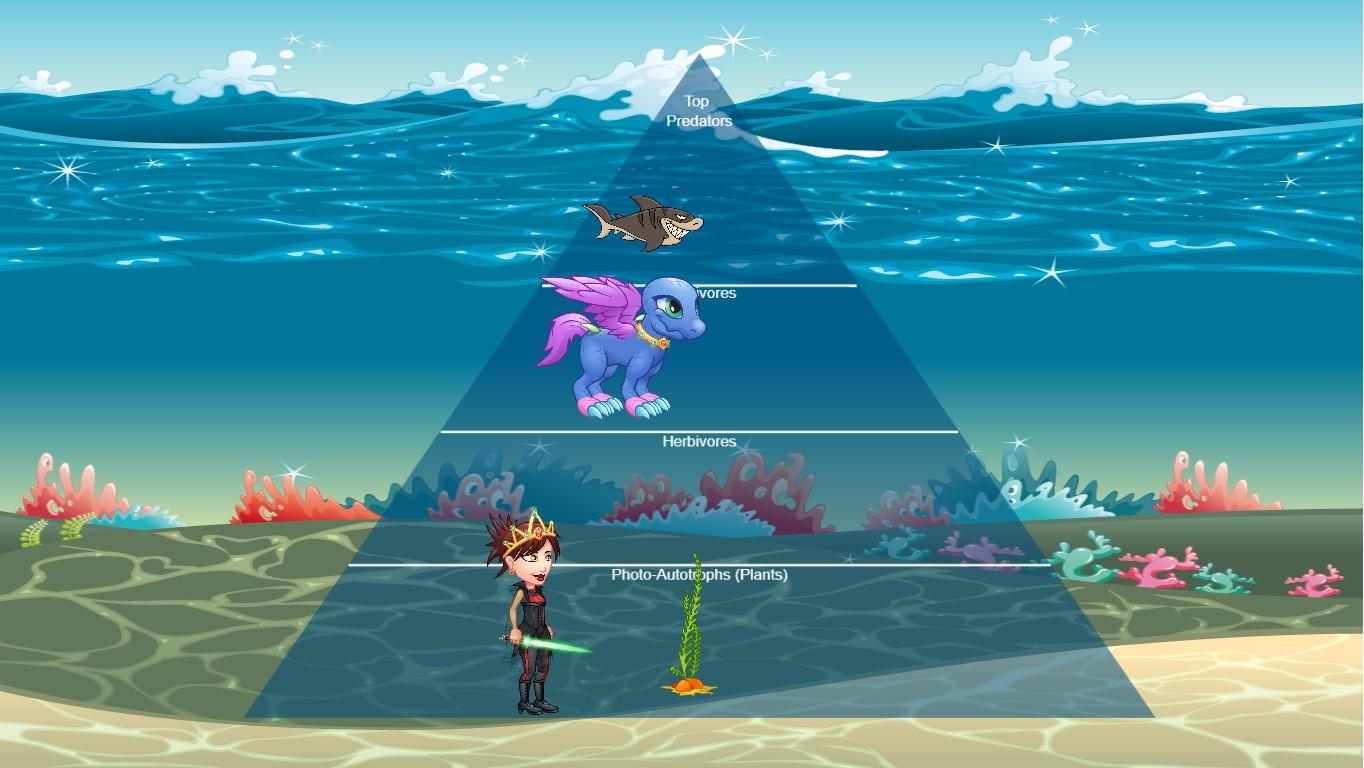 Ocean Ecological Pyramid