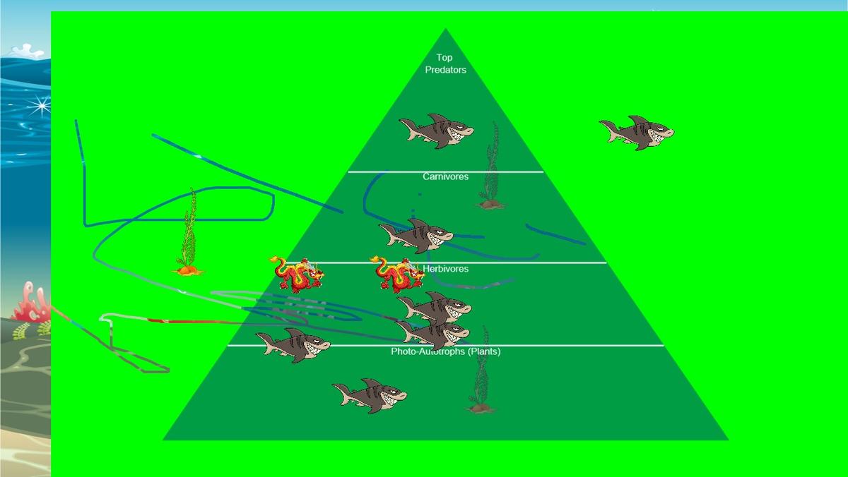 Ocean Ecological Pyramid