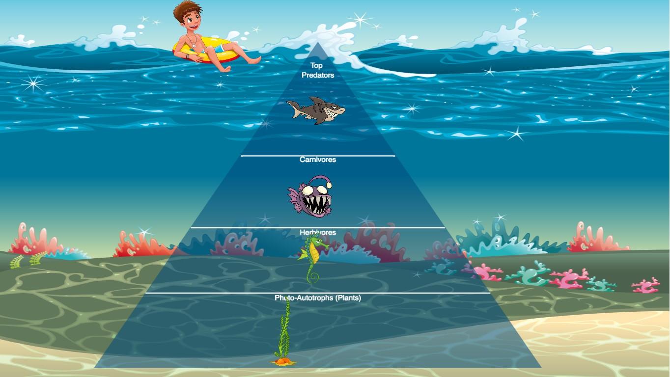 Ocean Ecological Pyramid