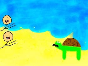 TURTLE CONVERSATION