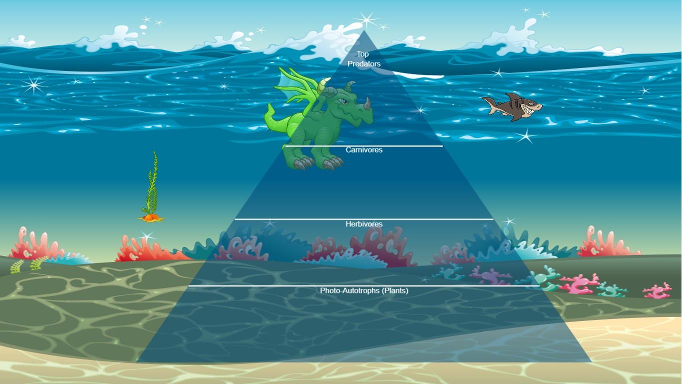 Ocean Ecological Pyramid