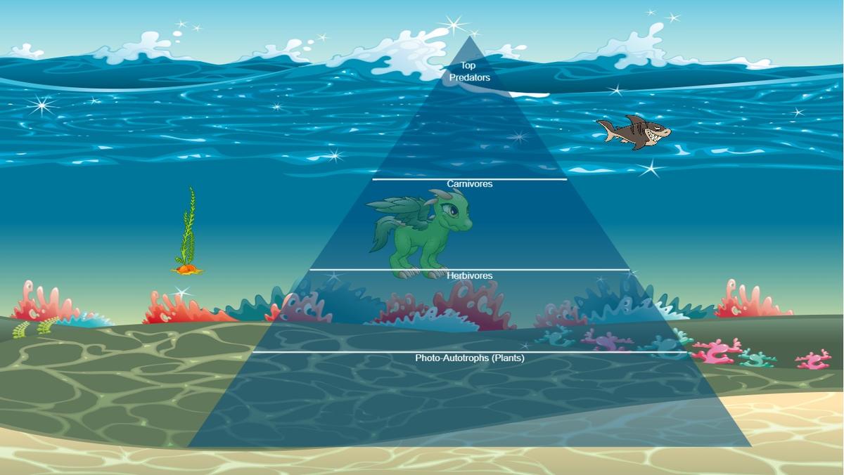 Ocean Ecological Pyramid