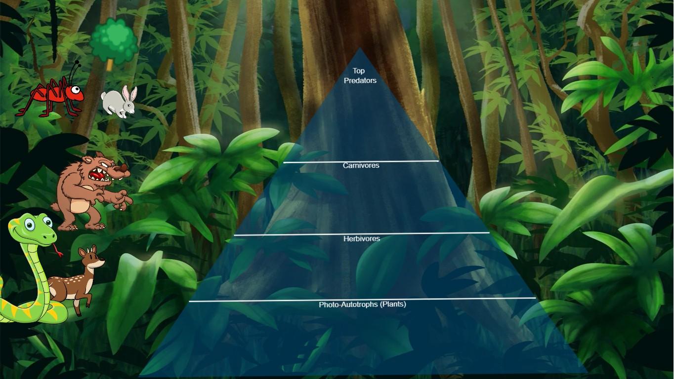 Ocean Ecological Pyramid