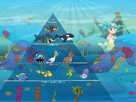 Ecological Pyramid 1