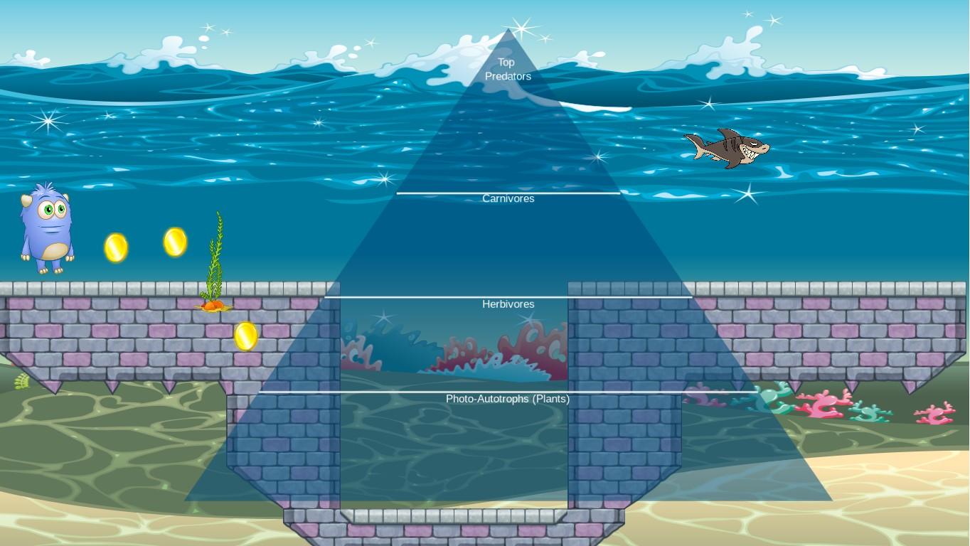 Ocean Ecological Pyramid