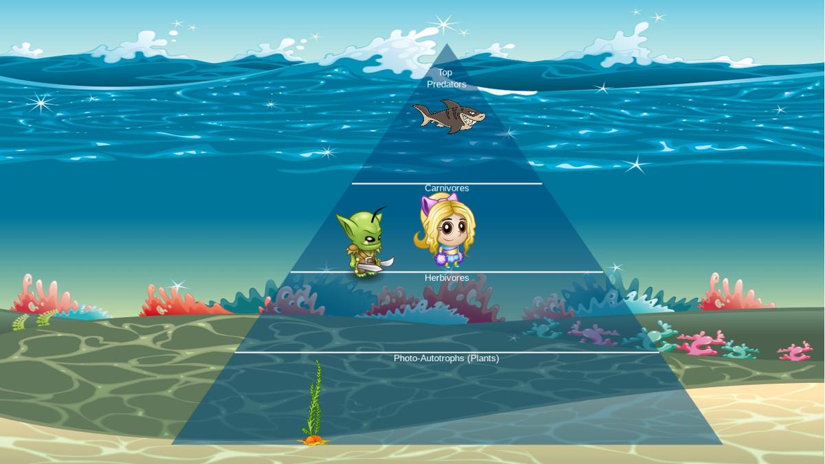 Ocean Ecological Pyramid