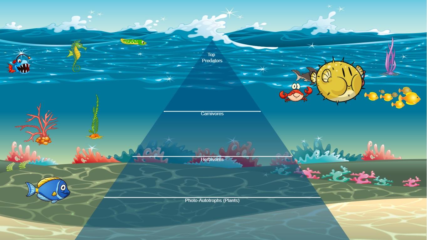 Ocean Ecological Pyramid