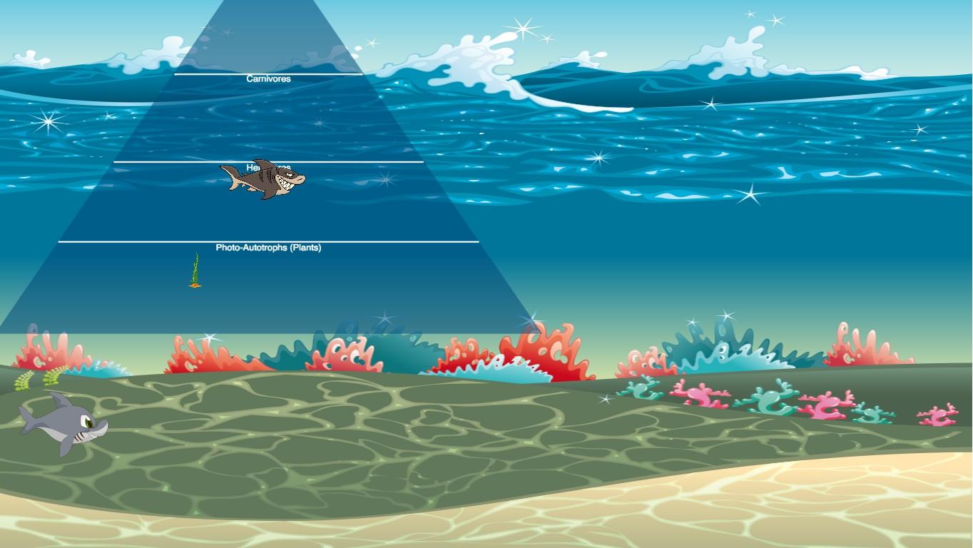 Ocean Ecological Pyramid