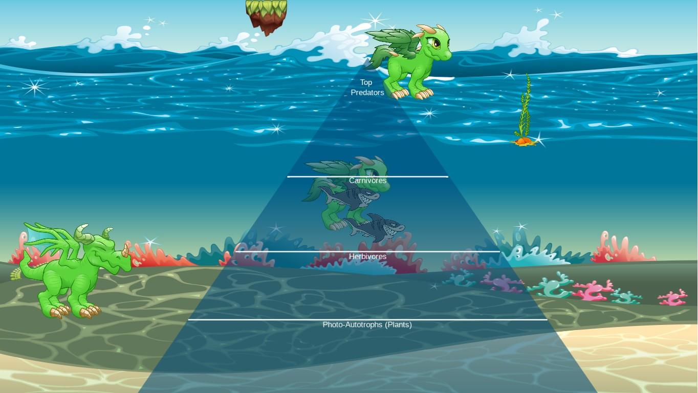 Ocean Ecological Pyramid