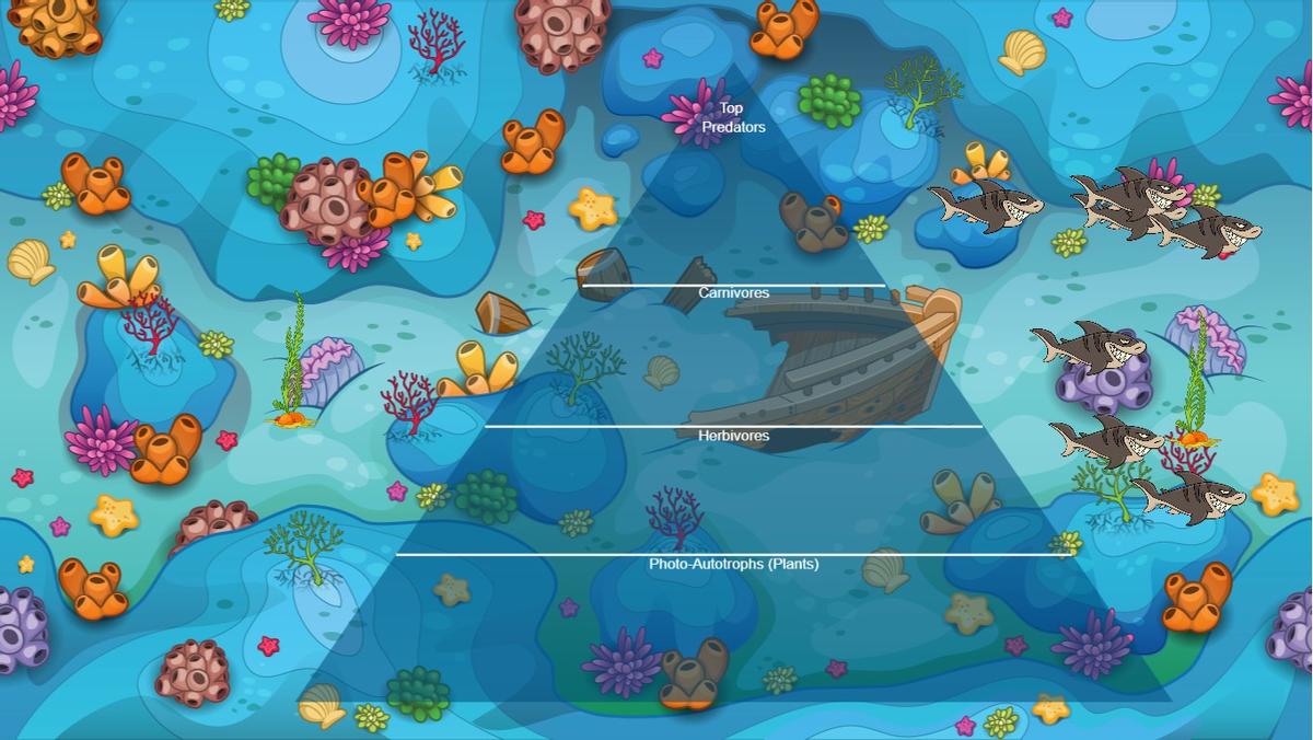 Ocean Ecological Pyramid