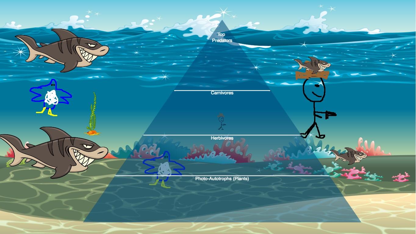 Ocean Ecological Pyramid