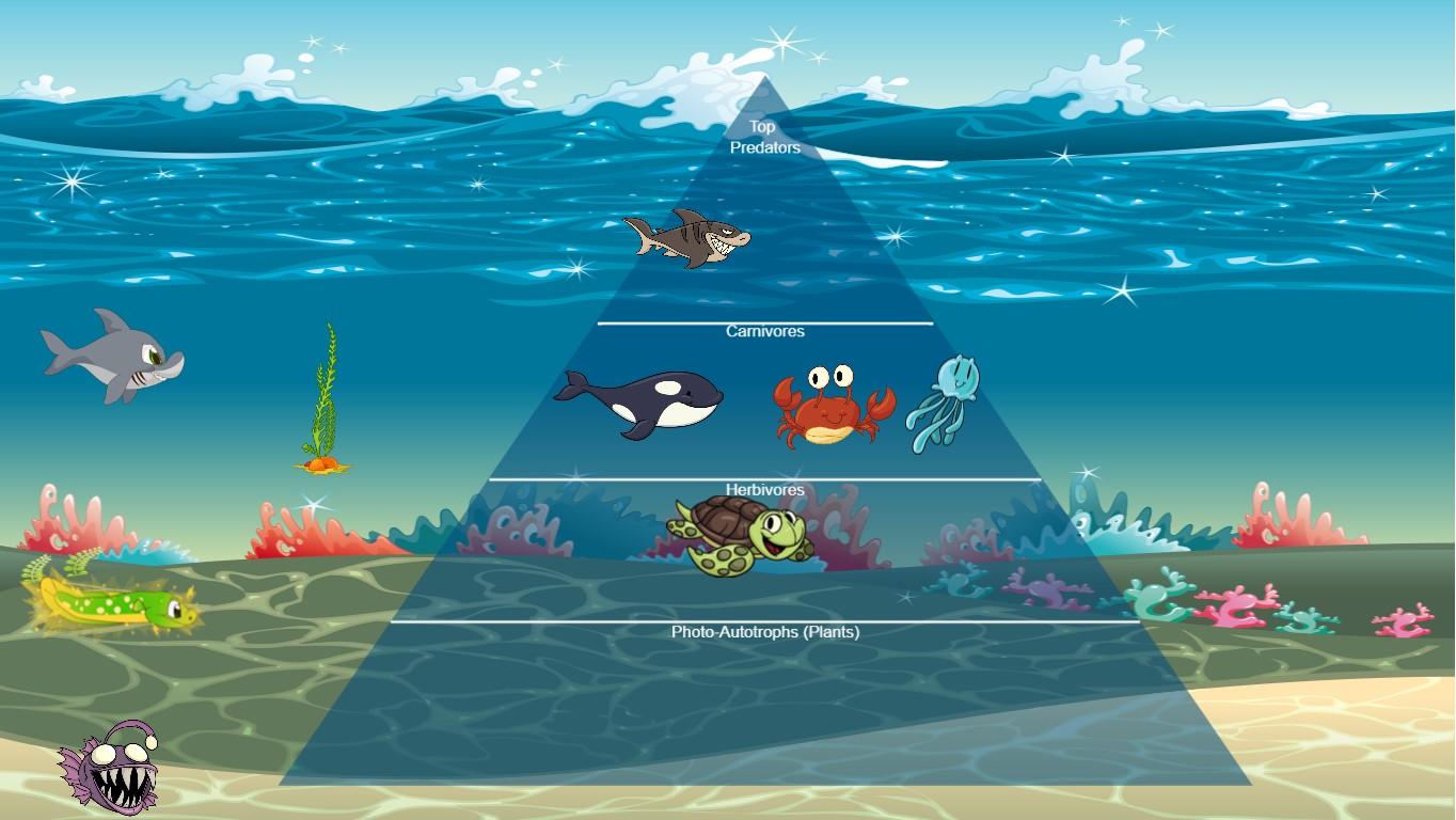 Ocean Ecological Pyramid