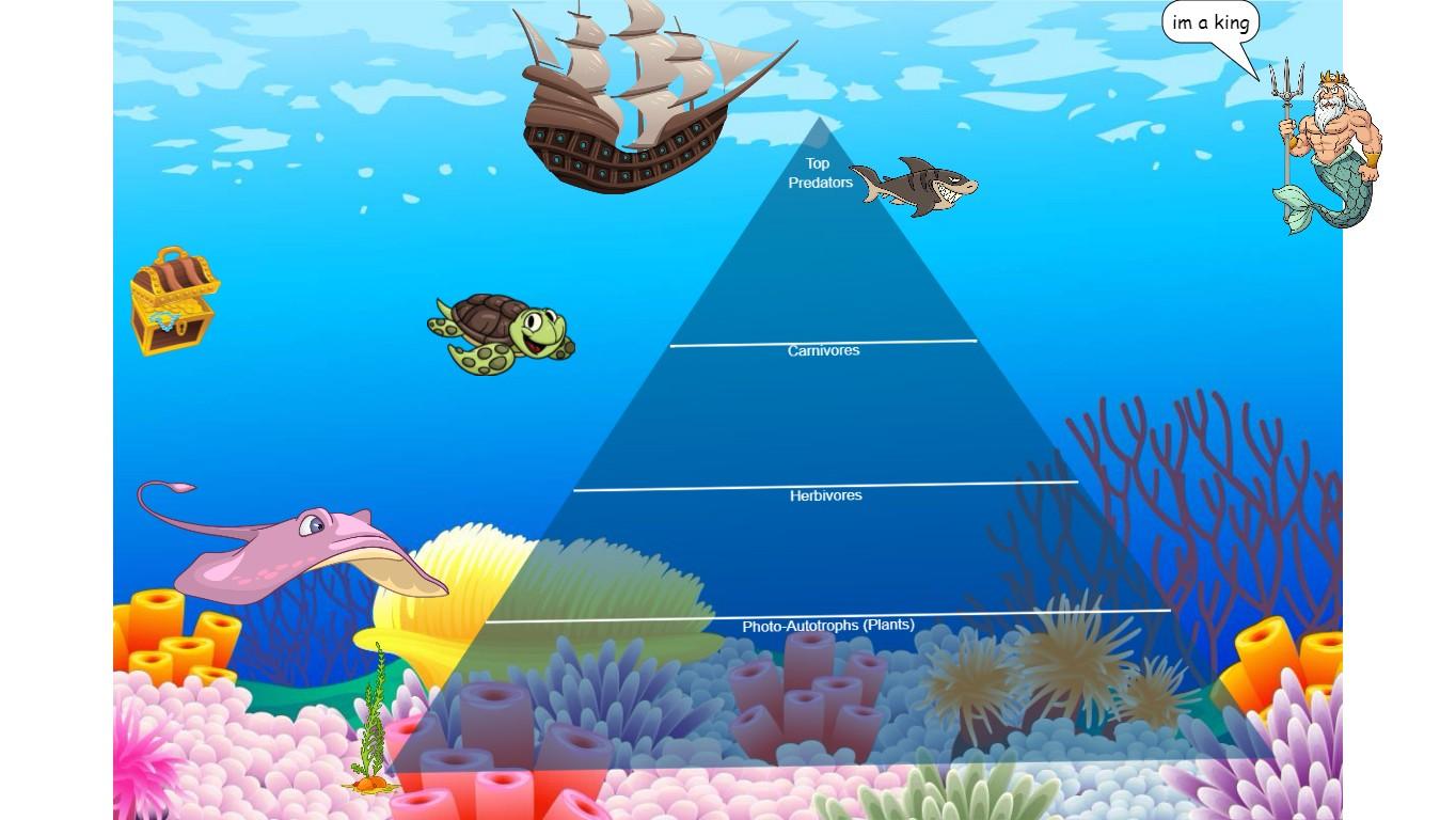 Ocean Ecological Pyramid