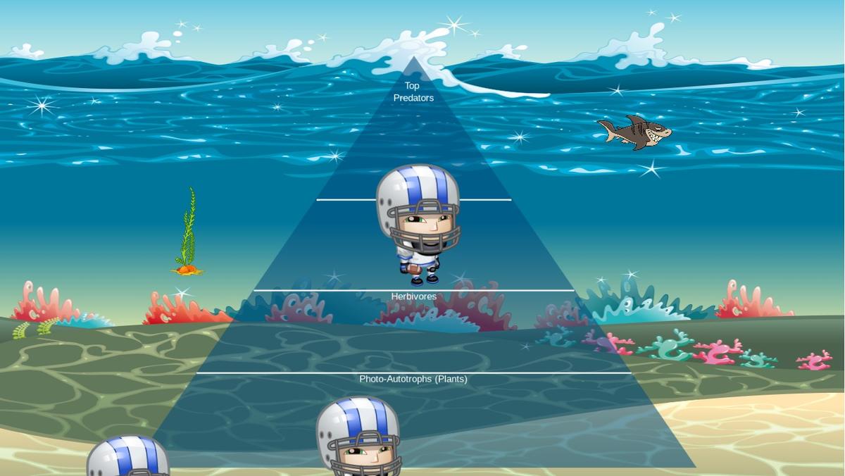 Ocean Ecological Pyramid