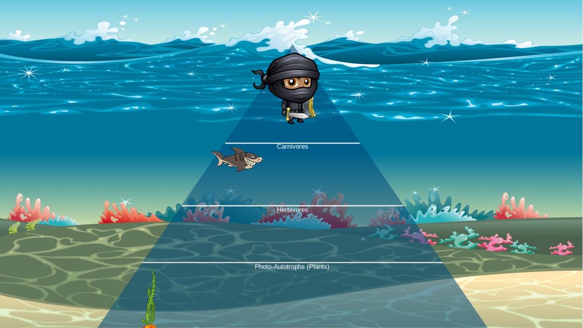 Ocean Ecological Pyramid