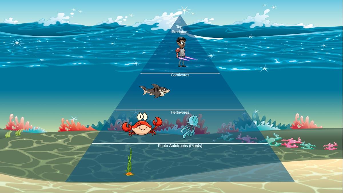 Ocean Ecological Pyramid