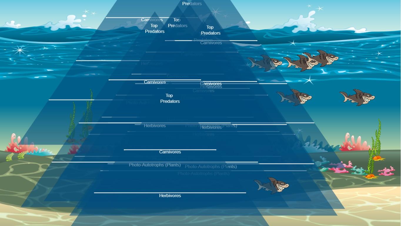 Ocean Ecological Pyramid