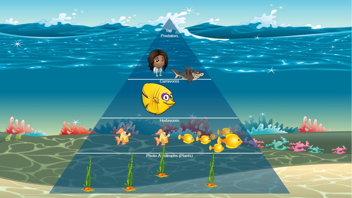 Ocean Ecological Pyramid