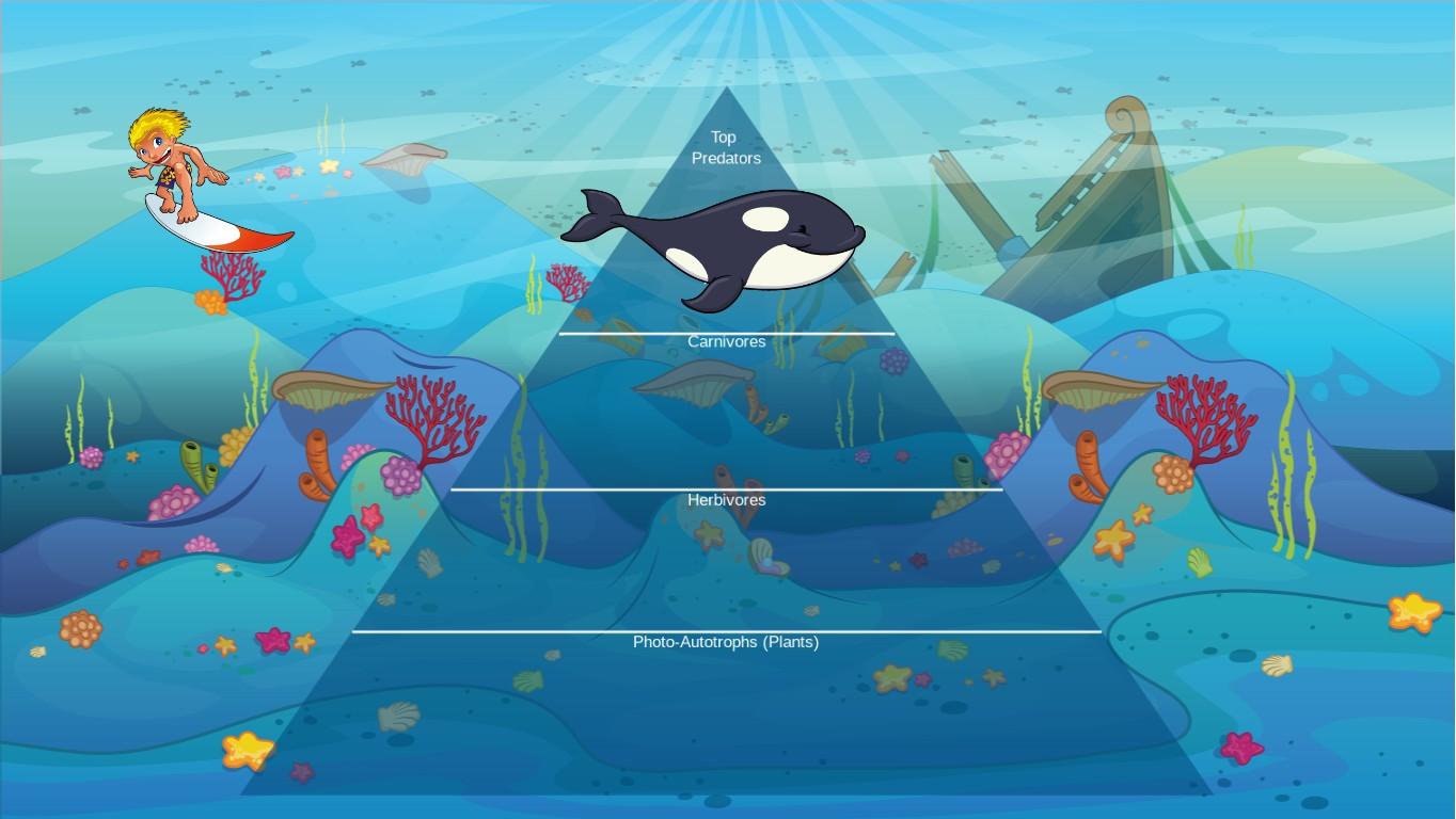 Ocean Ecological Pyramid