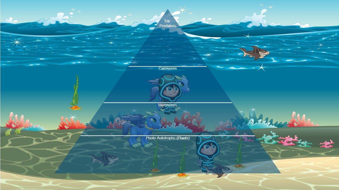 Ocean Ecological Pyramid