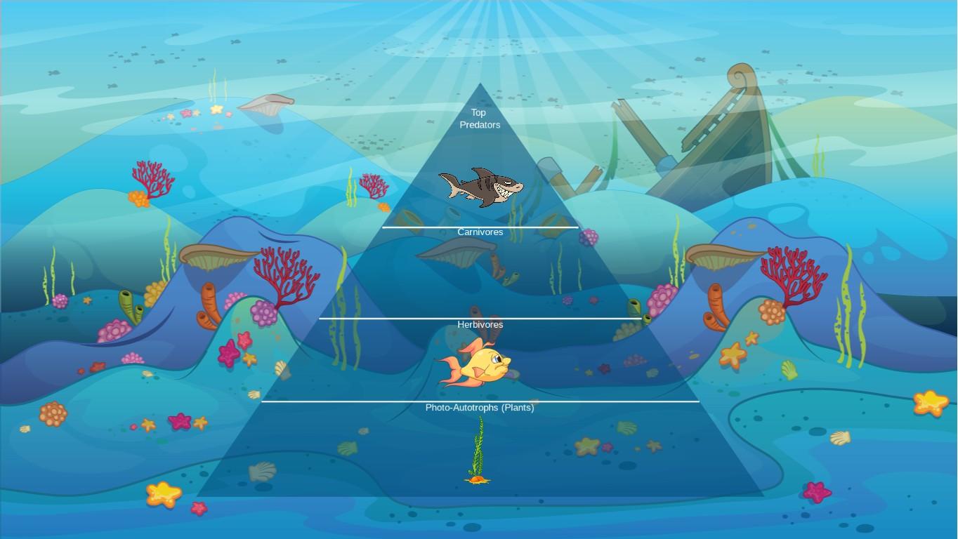 Ocean Ecological Pyramid