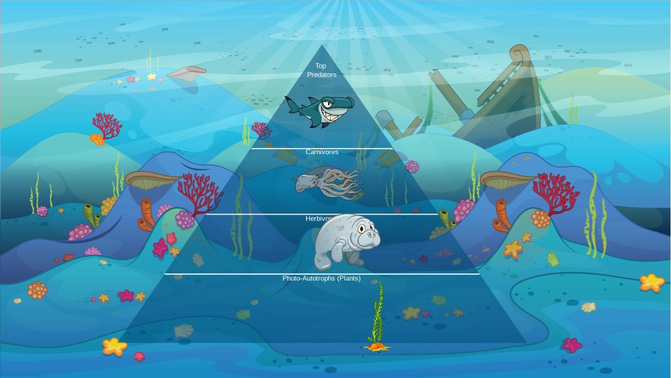 Ocean Ecological Pyramid