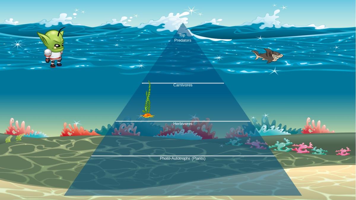 Ocean Ecological Pyramid