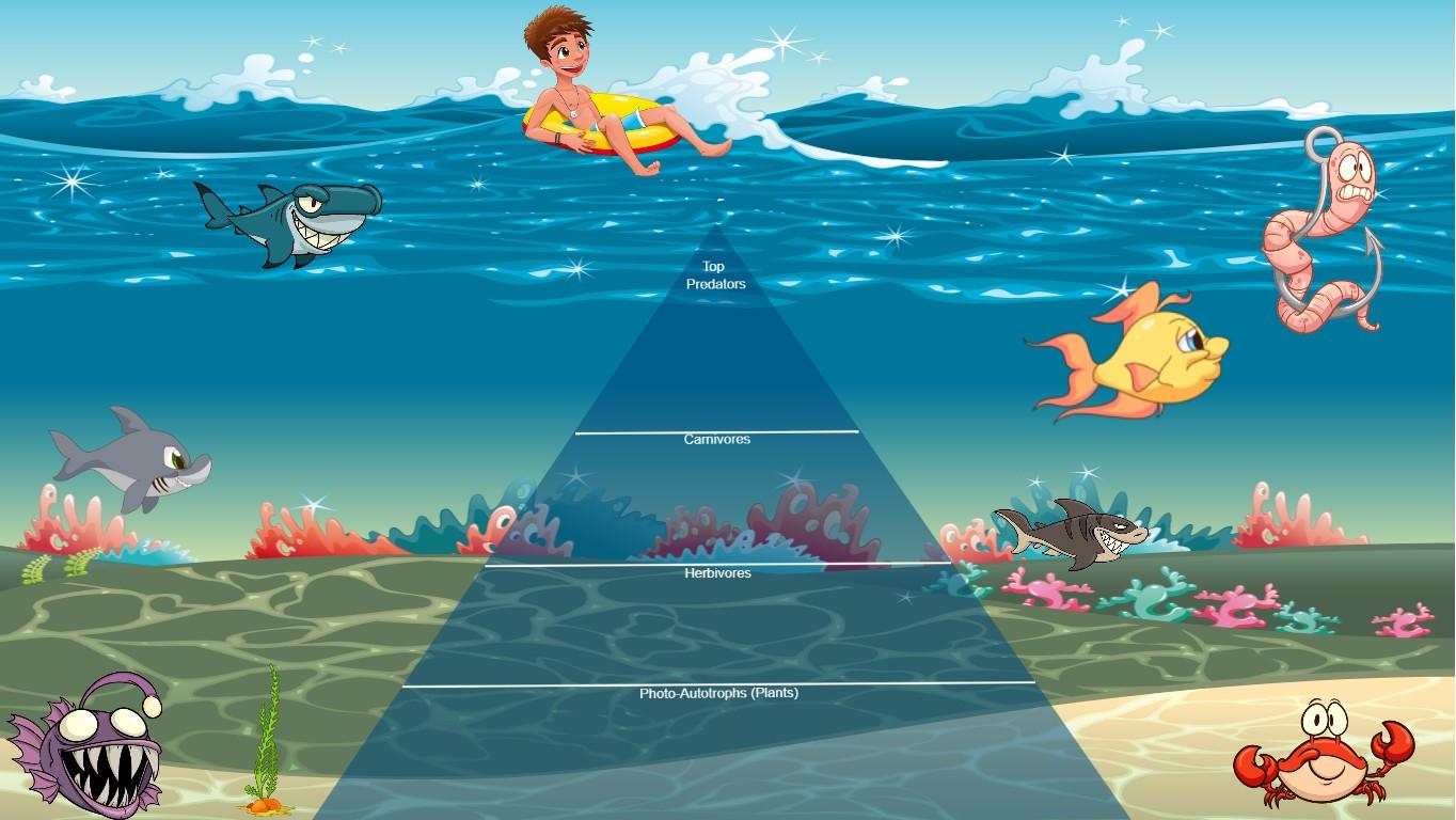 Ocean Ecological Pyramid