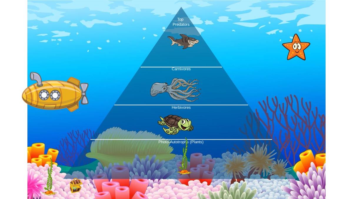 Ocean Ecological Pyramid