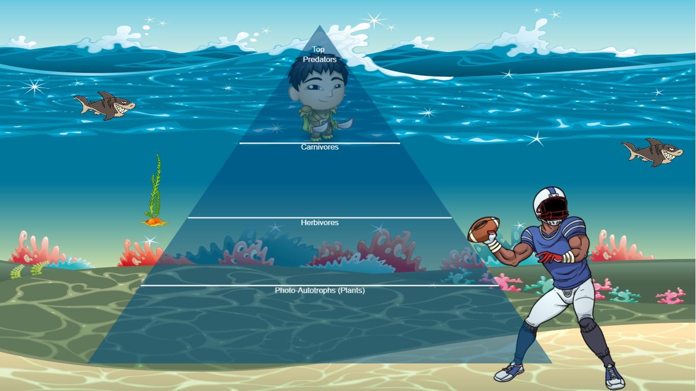 Ocean Ecological Pyramid