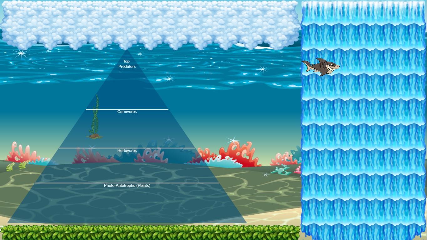 Ocean Ecological Pyramid