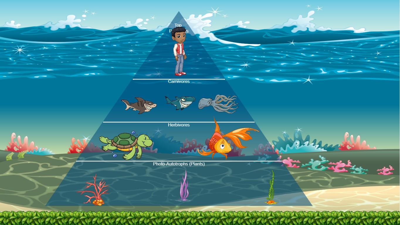 Ocean Ecological Pyramid