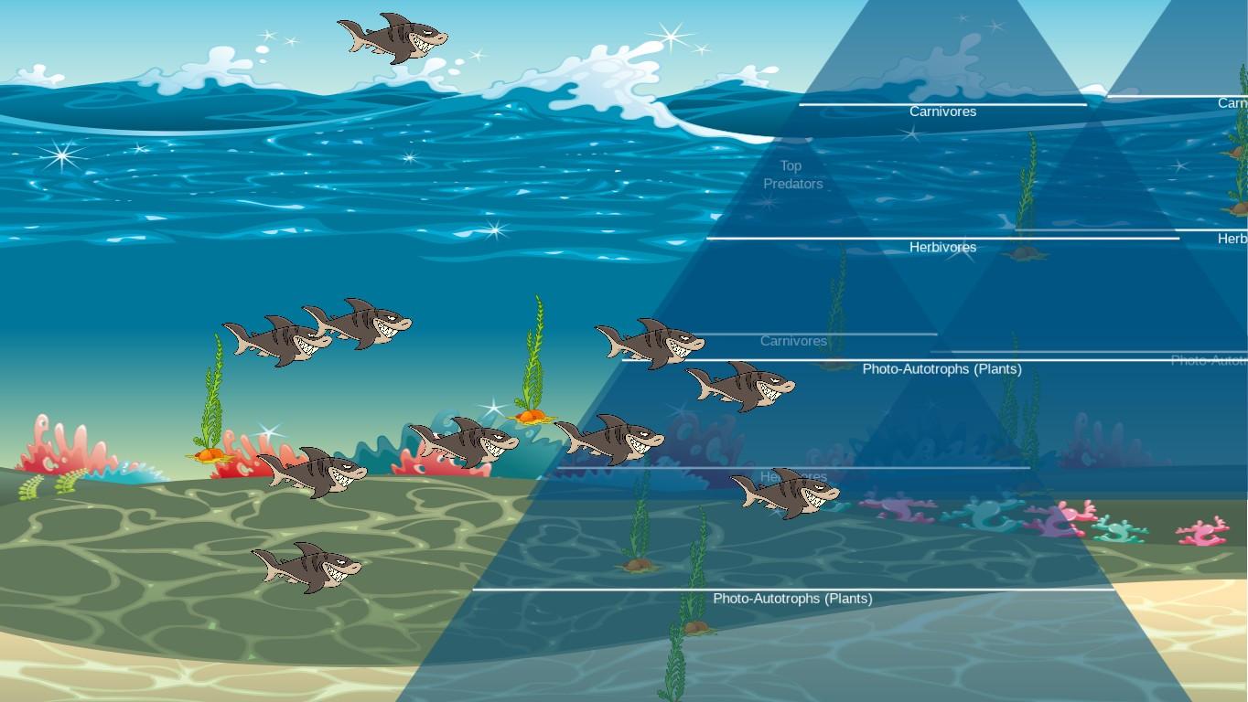 Ocean Ecological Pyramid