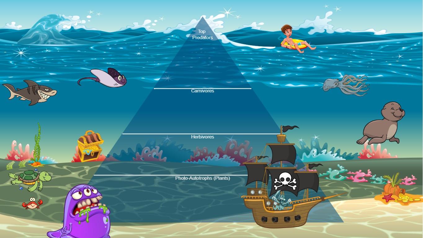 Ocean Ecological Pyramid