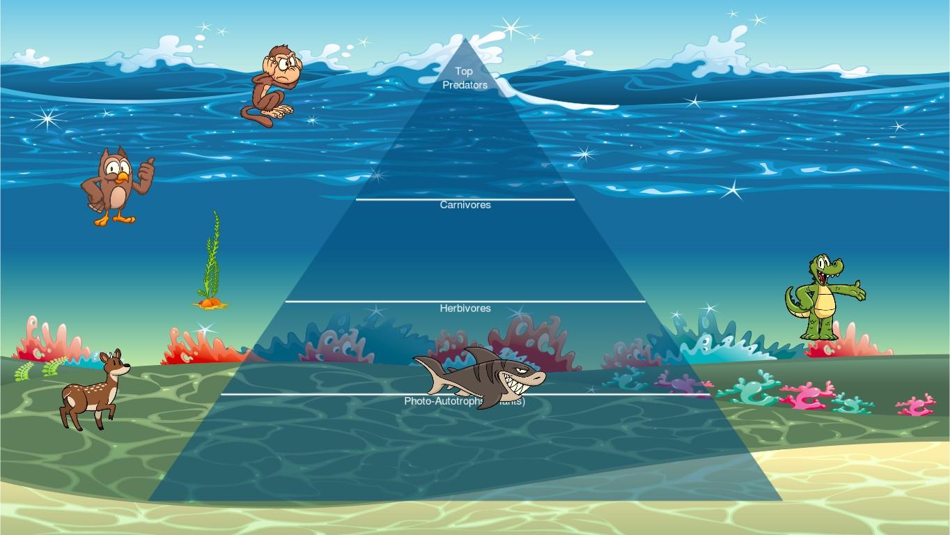 Ocean Ecological Pyramid