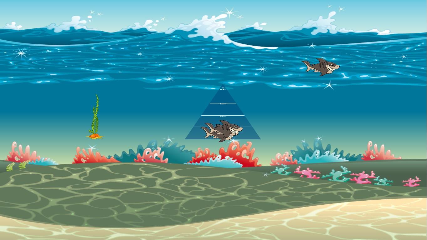 Ocean Ecological Pyramid