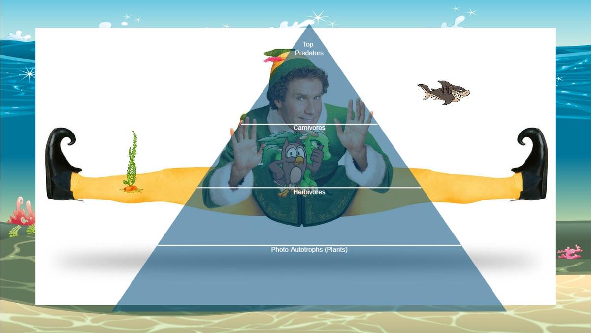 Ocean Ecological Pyramid