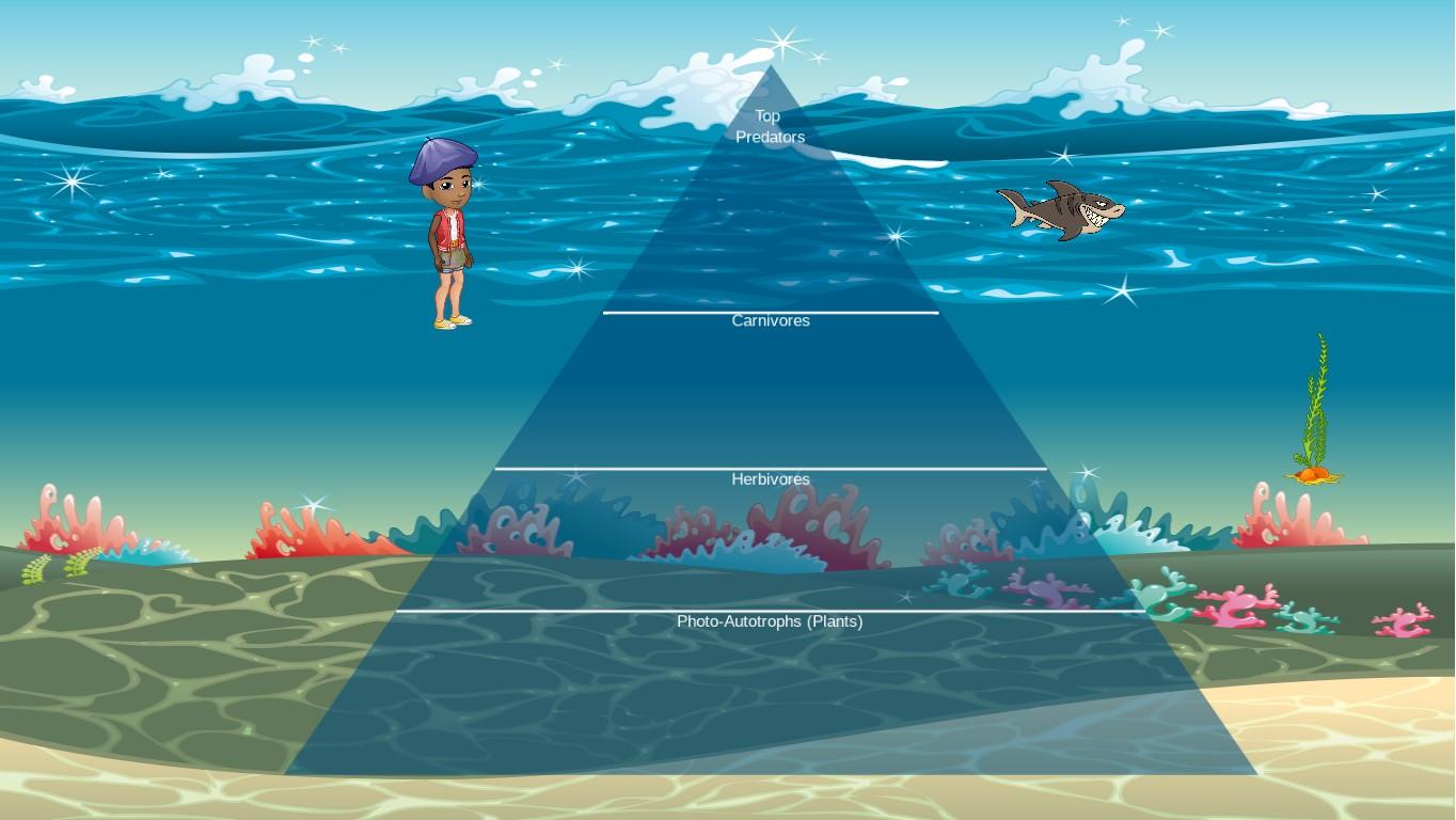 Ocean Ecological Pyramid