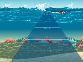 Ecological Pyramid 1